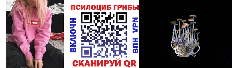 Купить  Бирюч  Галлюциногенные грибы мухоморы 